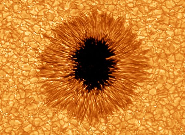 The Science Behind Sunspots